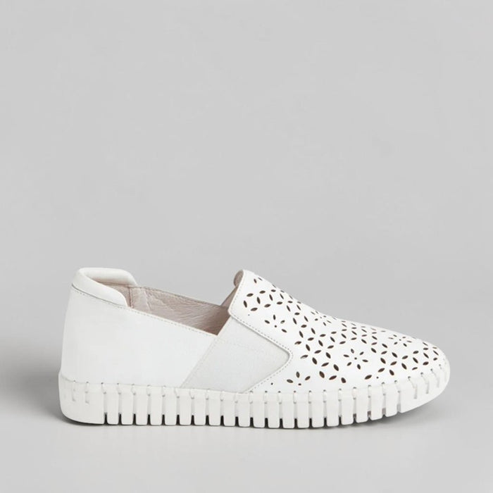 DJANGO & JULIETTE HAREL WHITE - Women Sneakers - Collective Shoes 