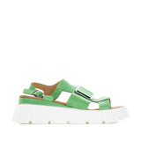 FERN GREEN