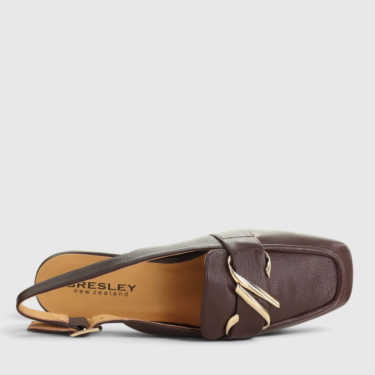 BRESLEY SHERI DK BROWN