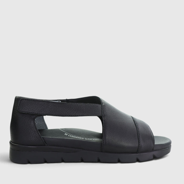 ZIERA ALLROY BLACK