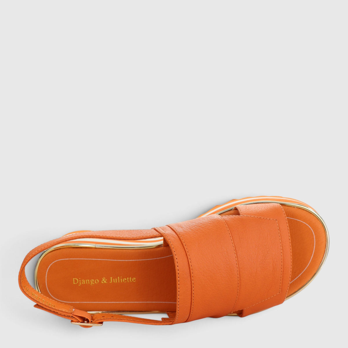 DJANGO & JULIETTE HILLIEA ORANGE