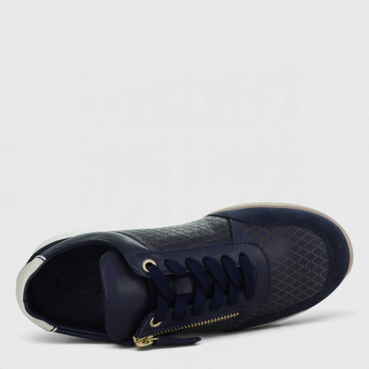 CABELLO EG262 NAVY