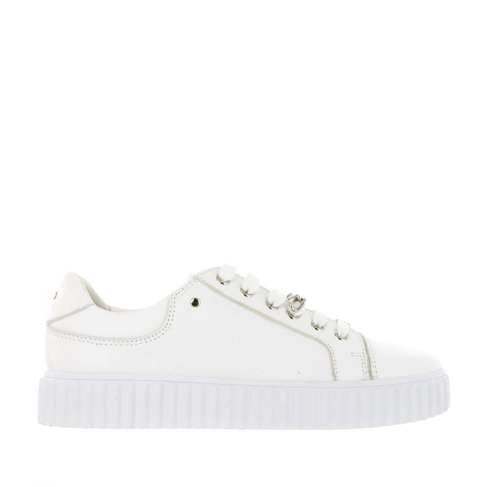 GELATO JEDI WHITE SILVERBLING - Women sneakers - Collective Shoes 