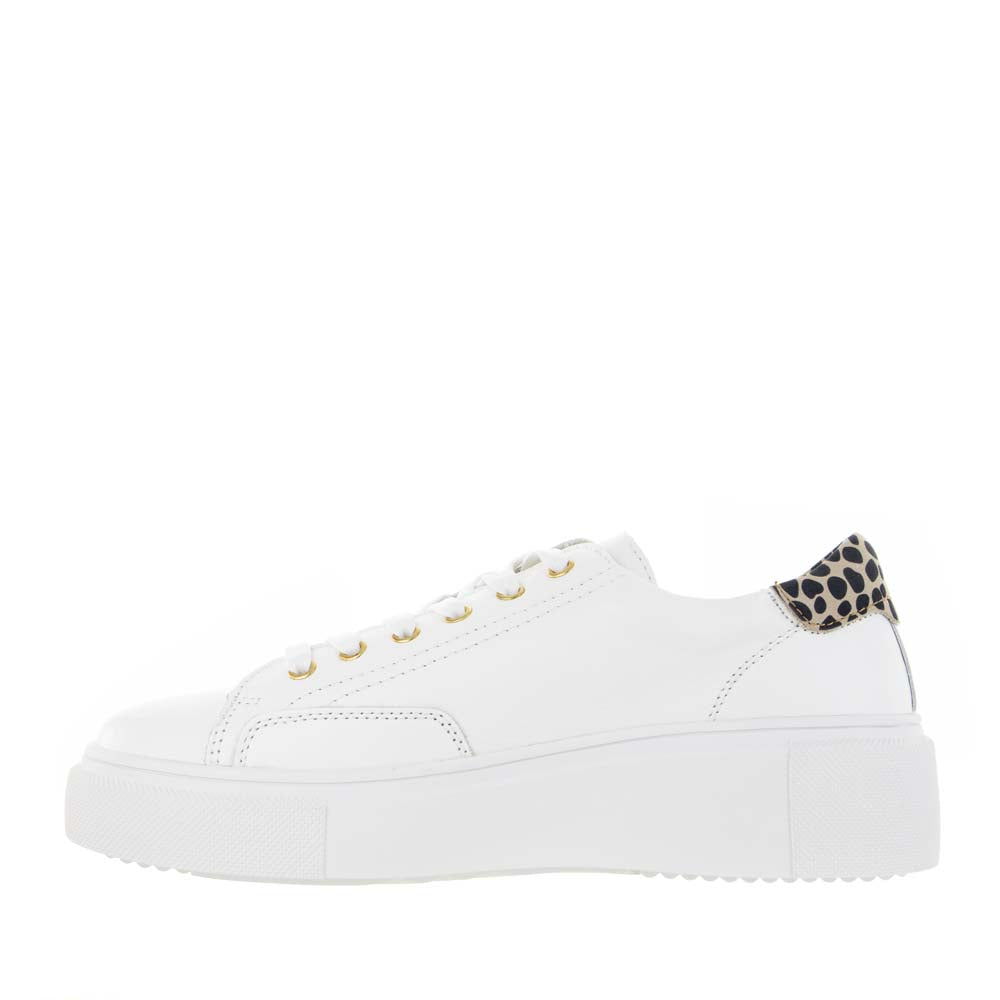 ALFIE & EVIE KAVE WHITE GOLD - Women sneakers - Collective Shoes 