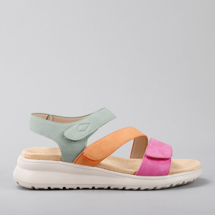 CC RESORTS PERSHING FUCHSIA/TAN/SAGE