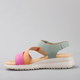 Load image into Gallery viewer, CC RESORTS PERSHING FUCHSIA/TAN/SAGE
