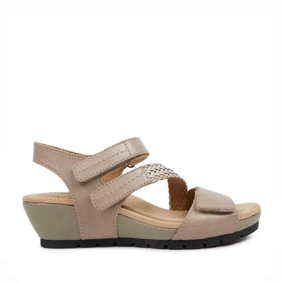 PLANET SHOES NOMAD TAUPE - Women Sandals - Collective Shoes 