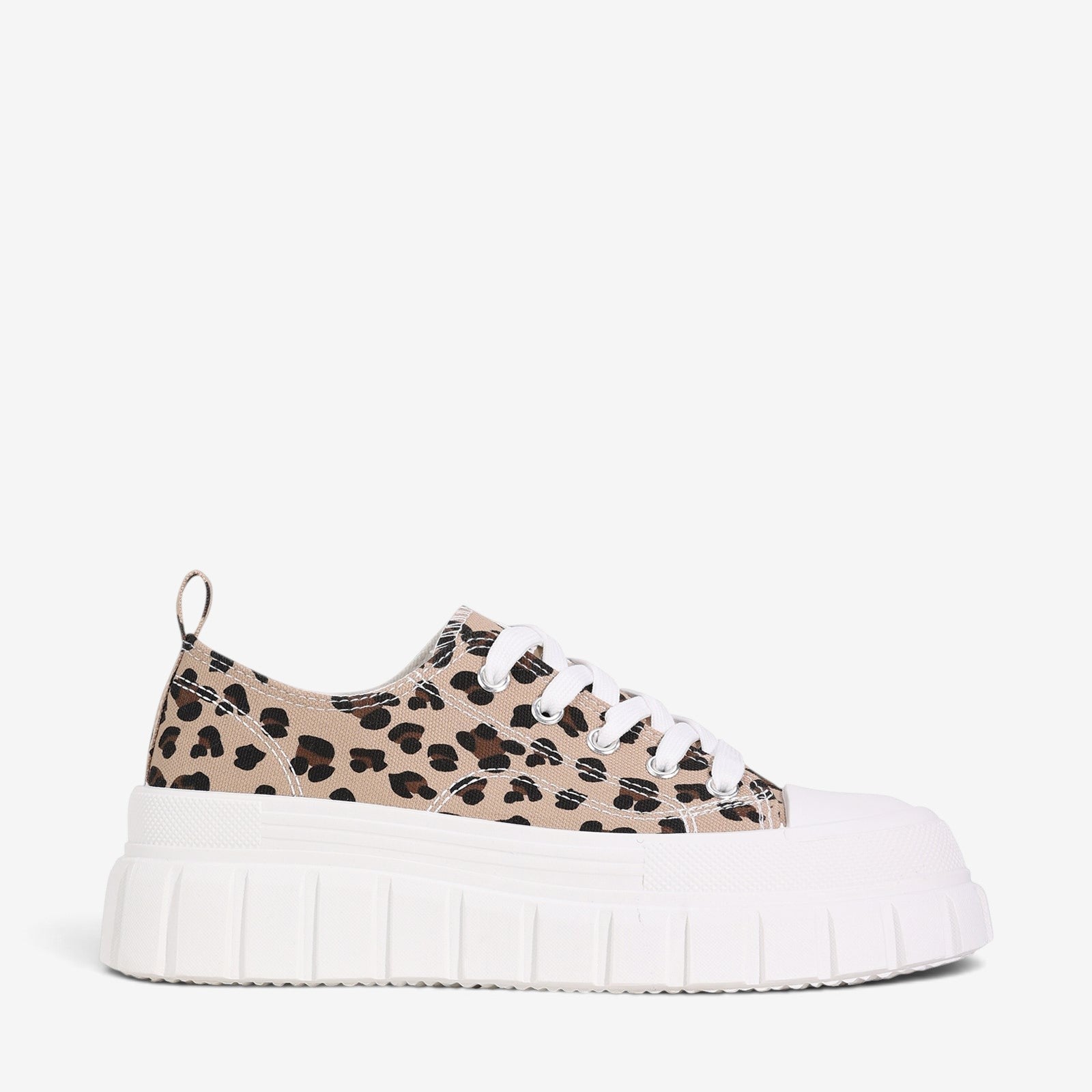 LOS CABOS RUNNA CHEETAH