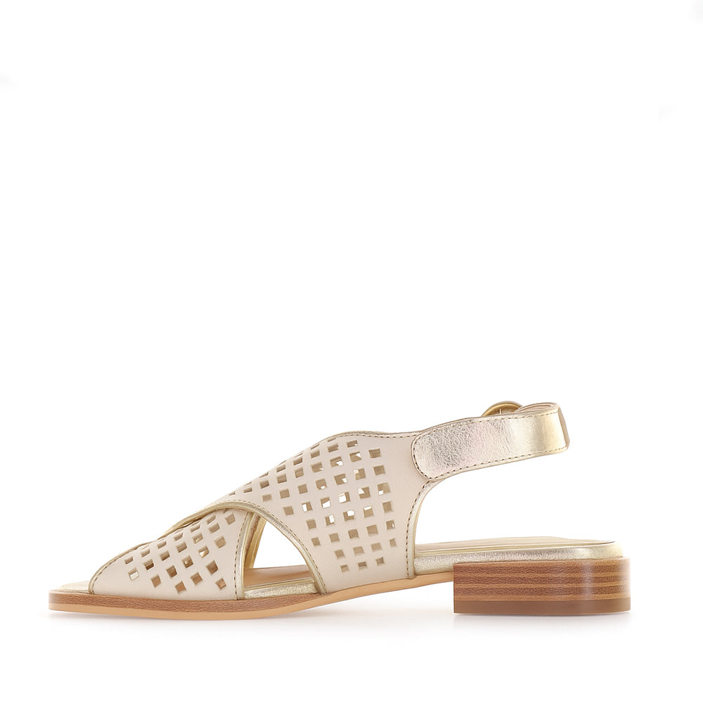 BRESLEY SAMENA SWAN GOLD - Women Sandals - Collective Shoes 