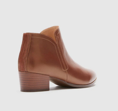 FRANKIE4 NOVAH COGNAC - Women Boots - Collective Shoes 