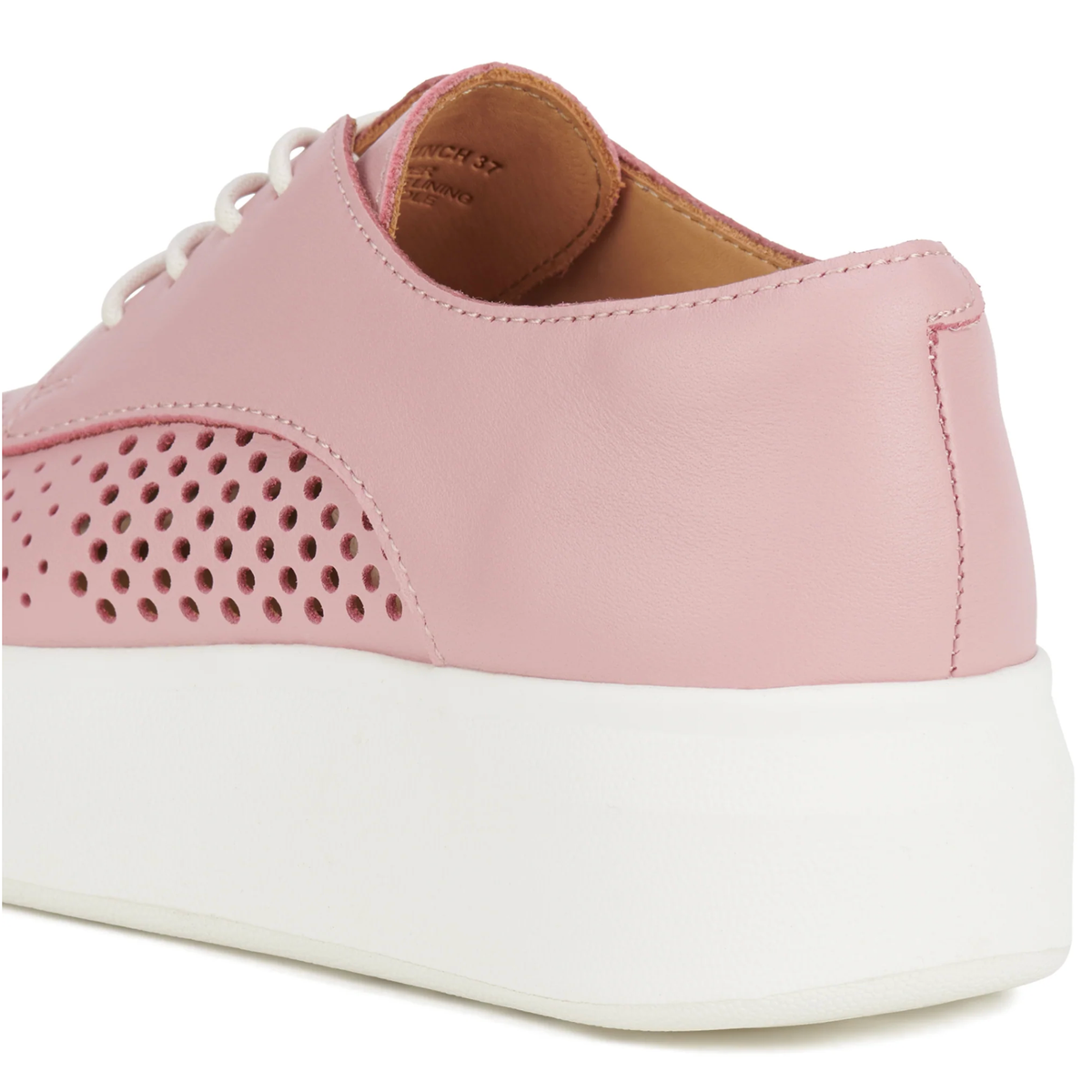 ROLLIE DERBY CITY PUNCH ROSE BLUSH - Women Sneakers - Collective Shoes 