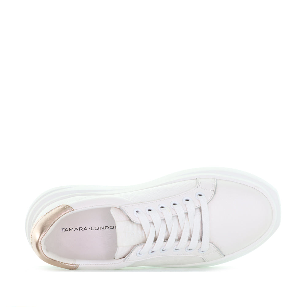 TAMARA LONDON BAILEY WHITE ROSEGOLD - Women Sneakers - Collective Shoes 