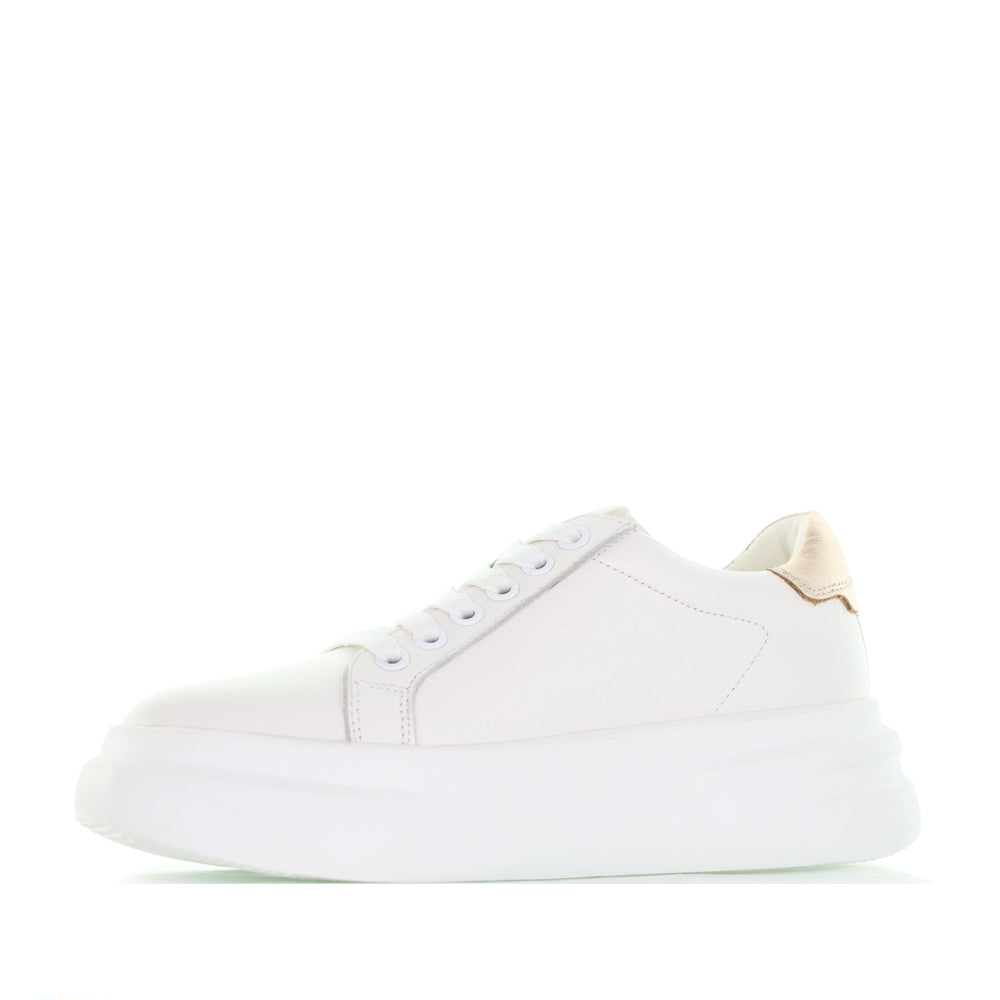 TAMARA LONDON BAILEY WHITE ROSEGOLD - Women Sneakers - Collective Shoes 