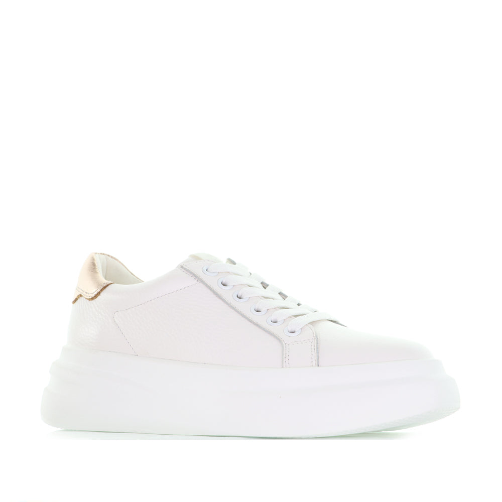 TAMARA LONDON BAILEY WHITE ROSEGOLD - Women Sneakers - Collective Shoes 