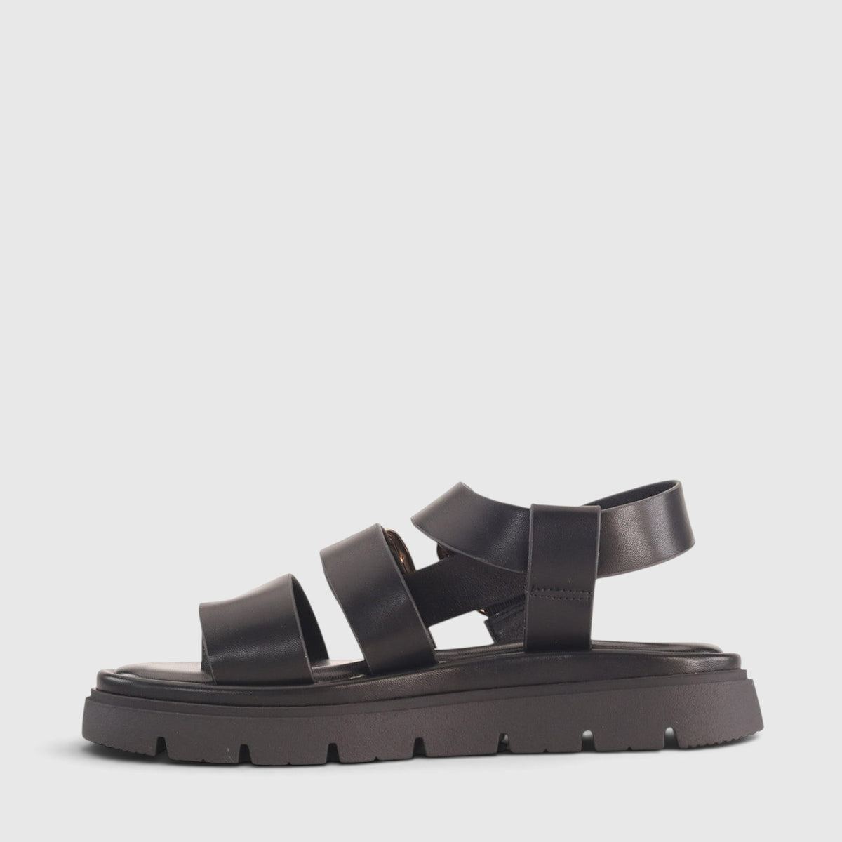 LOS CABOS TOLISE BLACK