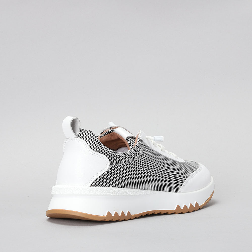 CC RESORTS WALKY WHITE - Women Sneakers - Collective Shoes 
