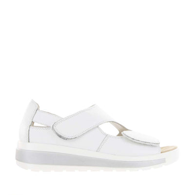 ZIERA GIALISSE WHITE - Women Sandals - Collective Shoes 