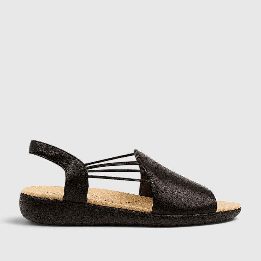 ZIERA UDHAYS BLACK