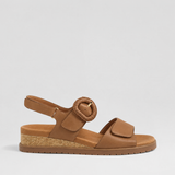 TAN