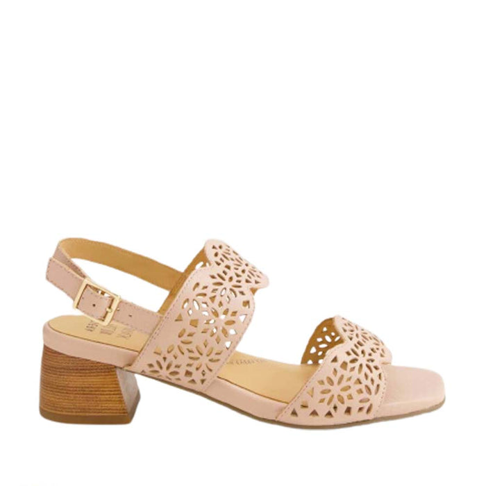 ZIERA CRISSTO CAFE - Women Sandals - Collective Shoes 