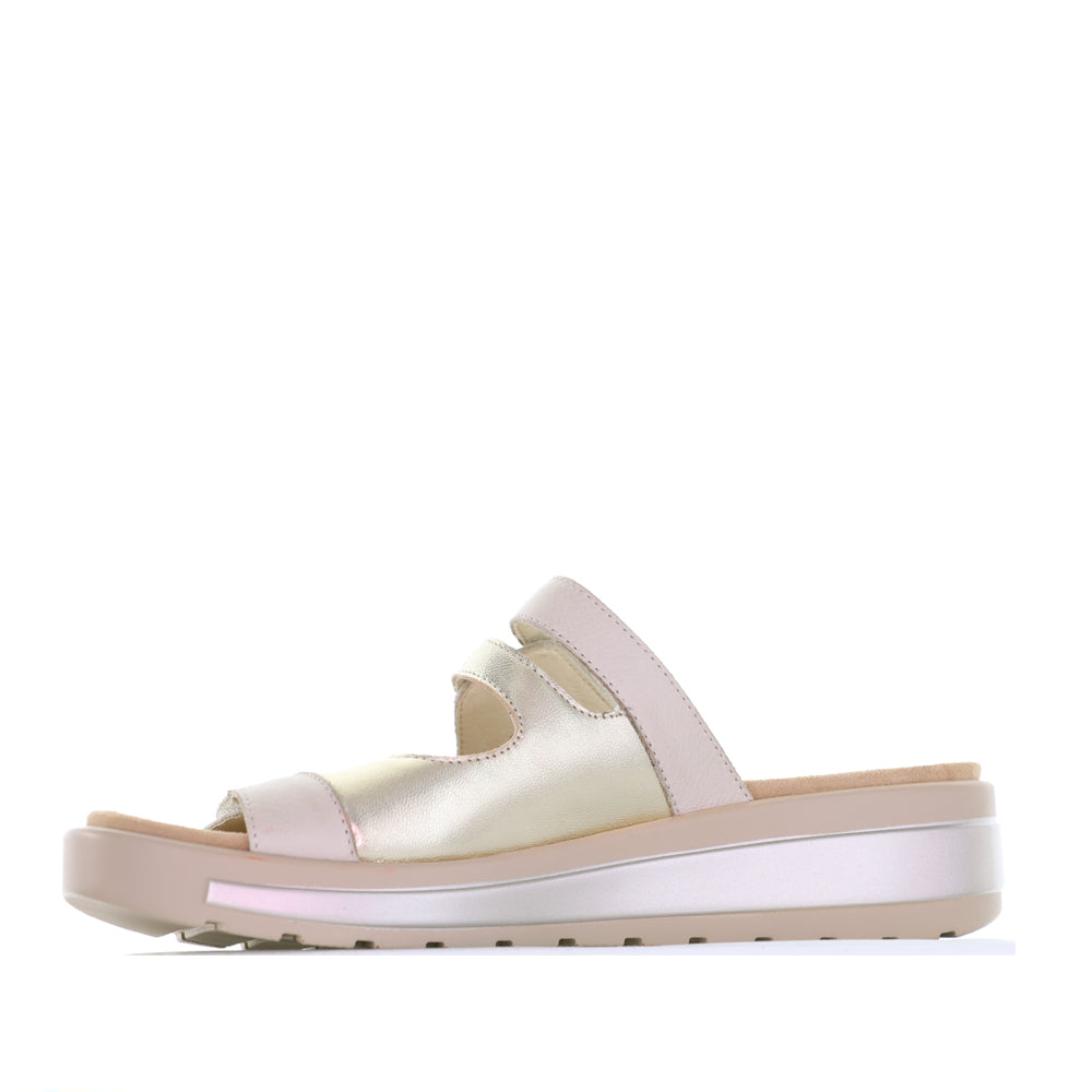 ZIERA GENRA ALMOND - Women Mules - Collective Shoes 