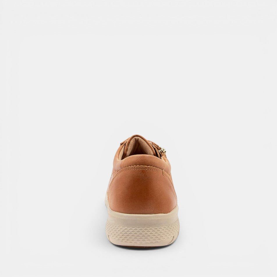 ZIERA SOLAR TAN