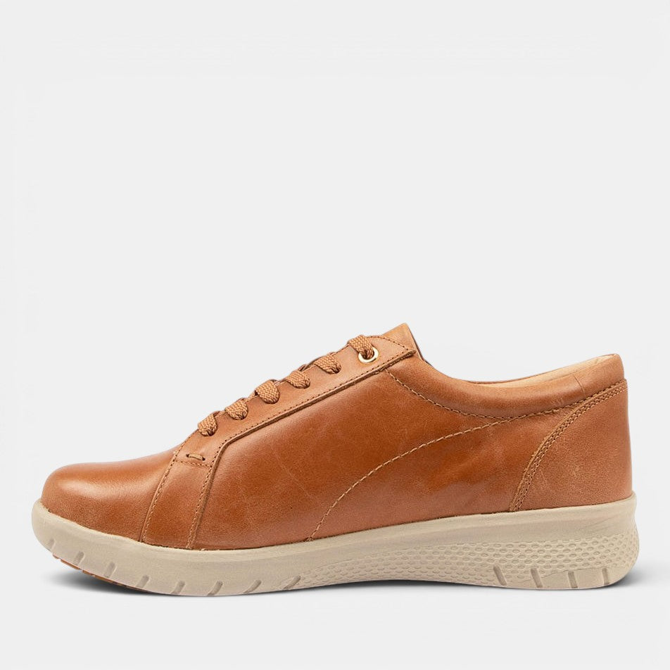 ZIERA SOLAR TAN