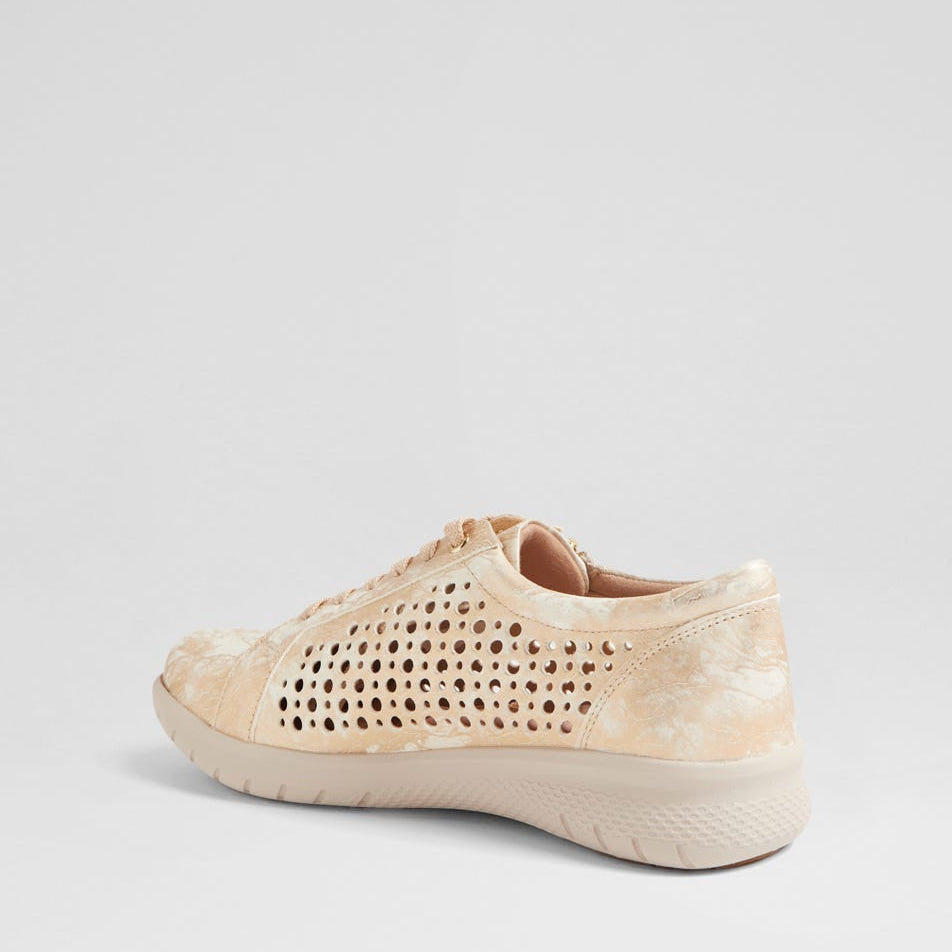 ZIERA SHOVO SMUDGE METAL - Women sneakers - Collective Shoes 