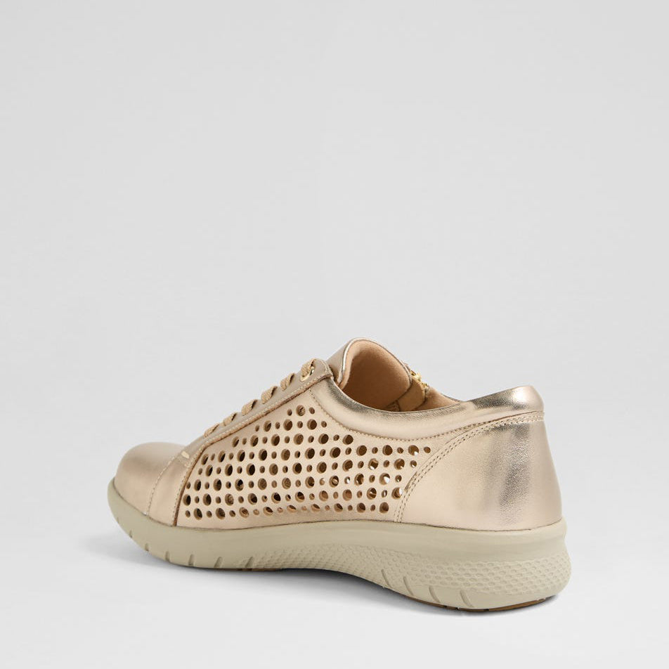 ZIERA SHOVO CHAMPAGNE - Women sneakers - Collective Shoes 