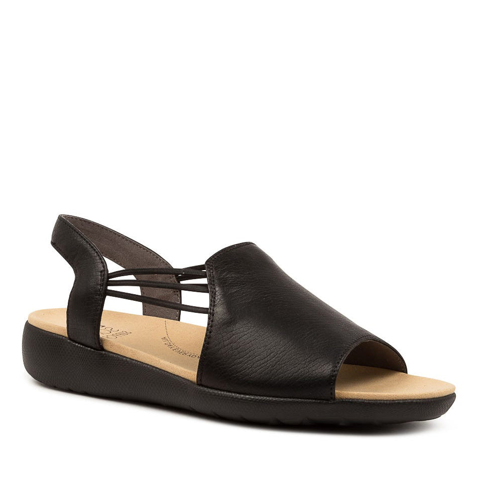 ZIERA UDHAYS BLACK - Women Sandals - Collective Shoes 