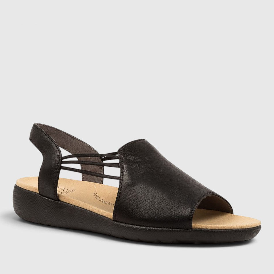 ZIERA UDHAYS BLACK