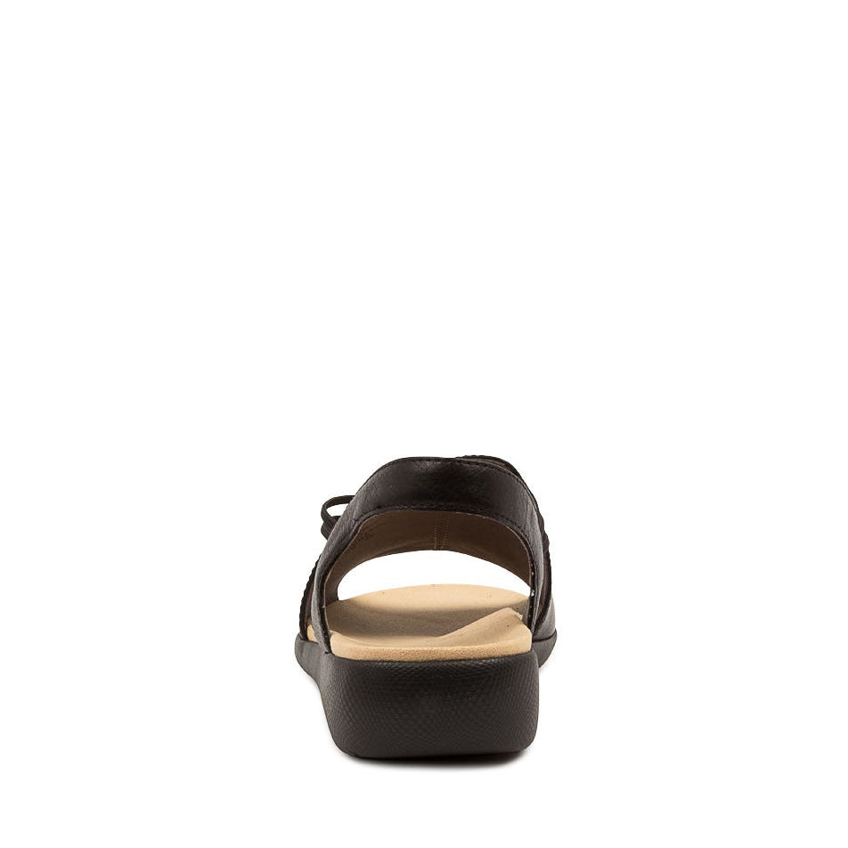 ZIERA UDHAYS BLACK - Women Sandals - Collective Shoes 