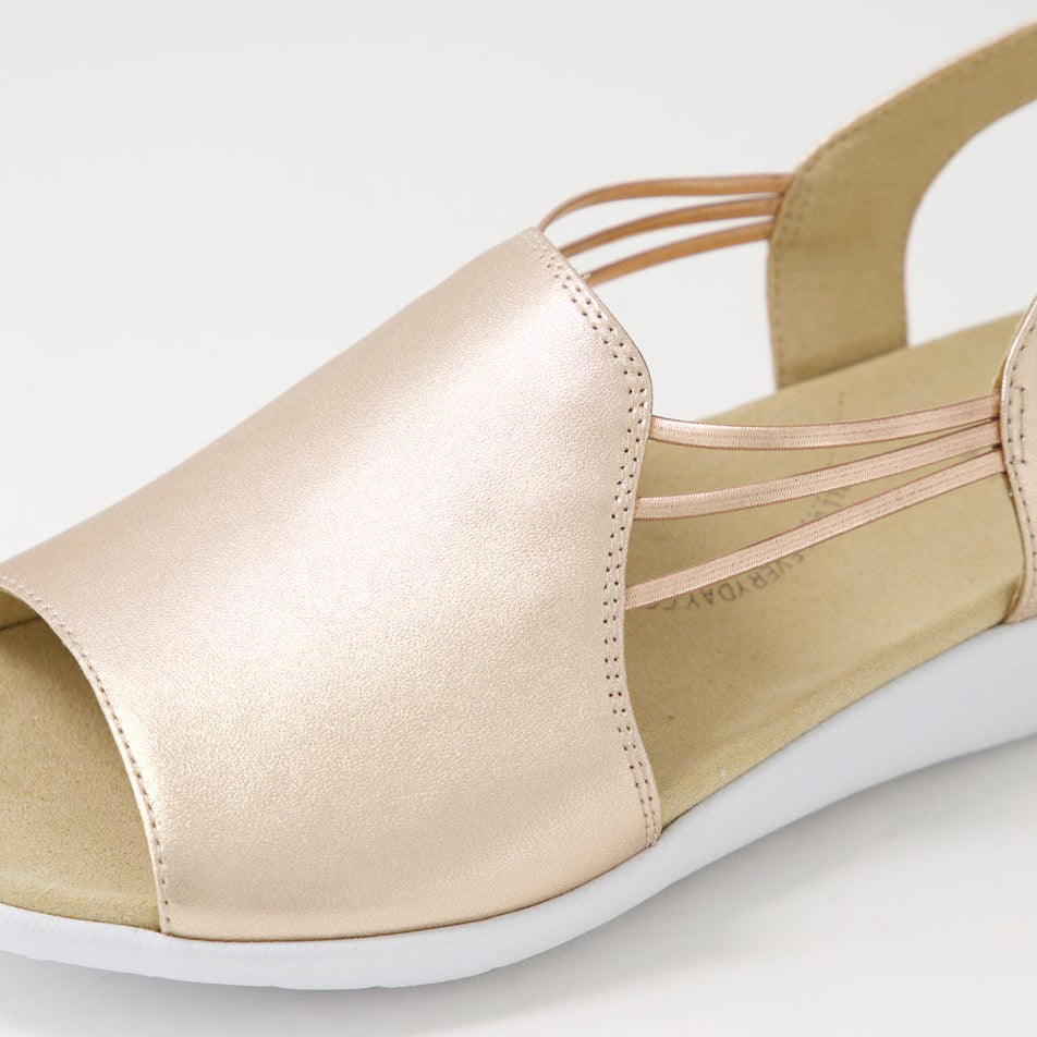 ZIERA UDHAYS ROSE GOLD - Women Sandals - Collective Shoes 