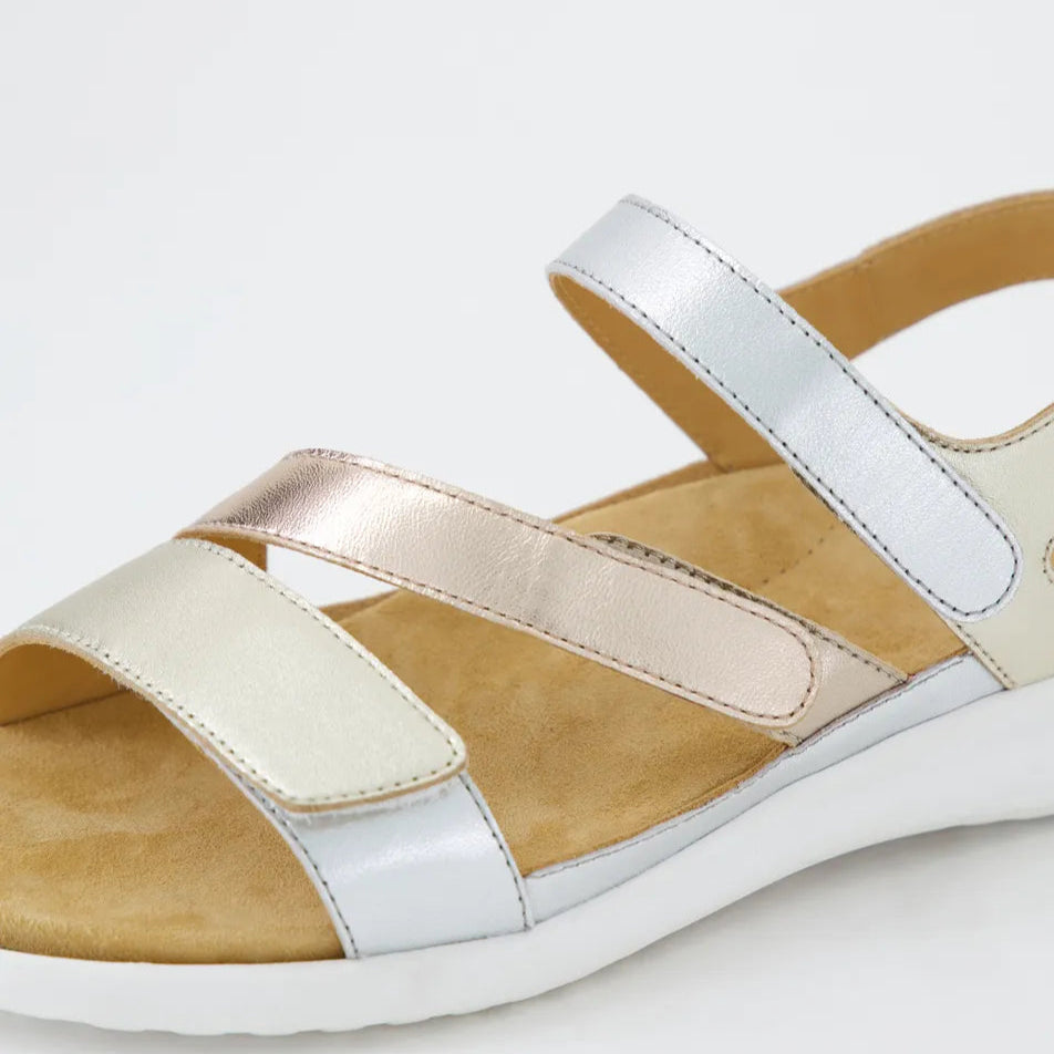 ZIERA BOYDE METALLIC MULTI - Women Sandals - Collective Shoes 