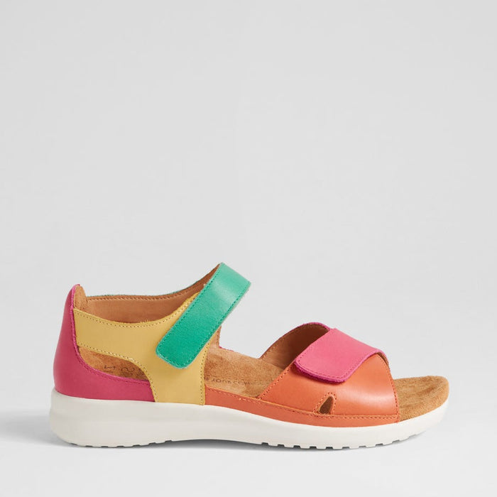 ZIERA BRONN BRIGHT MULTI