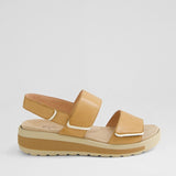 DK TAN ALMOND