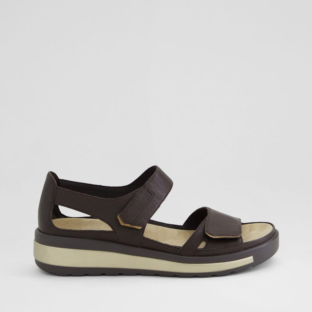 ZIERA GEDD CHOCO BRONZE