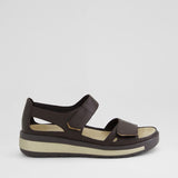 CAMEL ALMOND