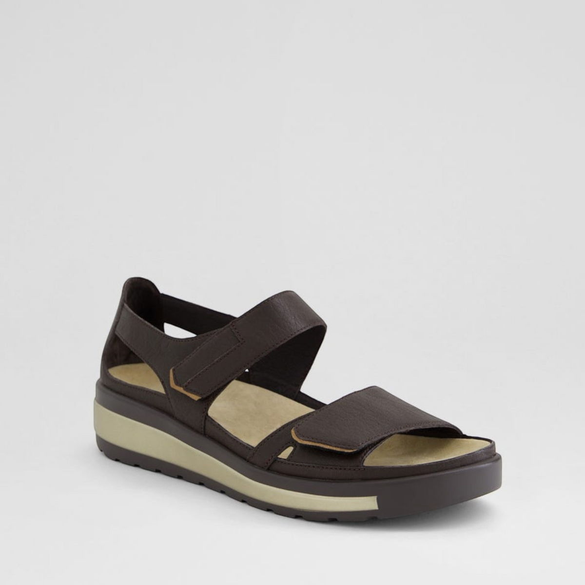ZIERA GEDD CHOCO BRONZE