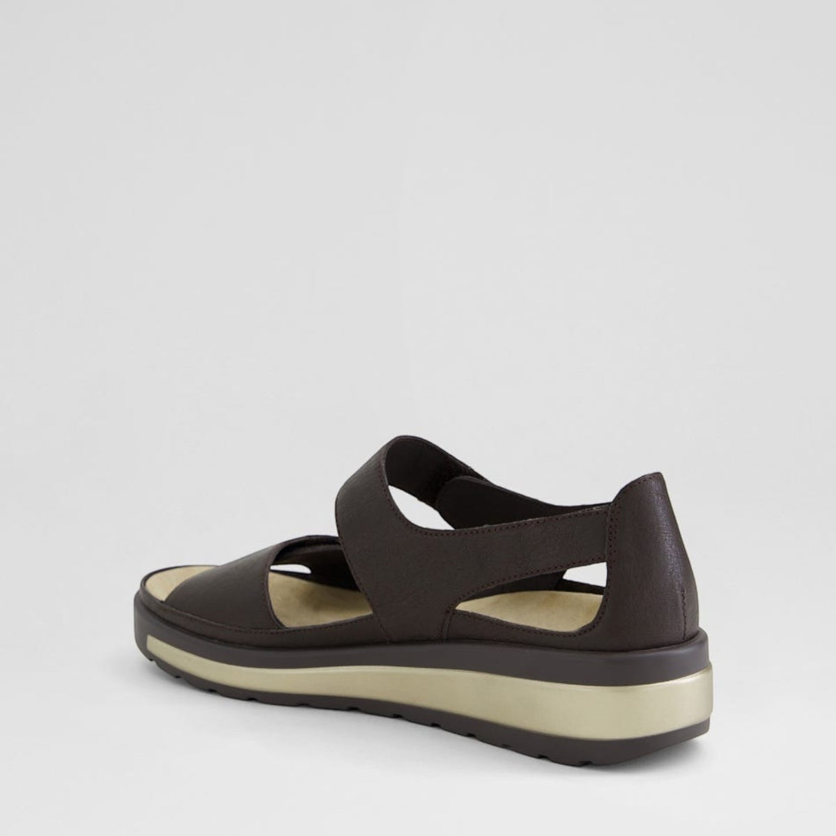 ZIERA GEDD CHOCO BRONZE