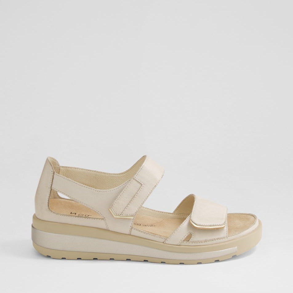 ZIERA GEDD ALMOND-PALE GOLD