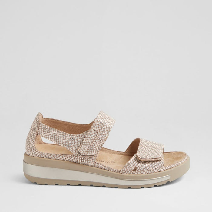 ZIERA GEDD CAMEL ALMOND