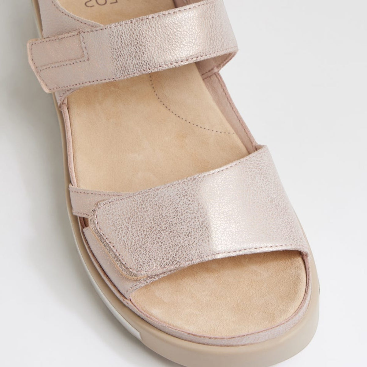 ZIERA GEDD NUDE & ROSE WASH