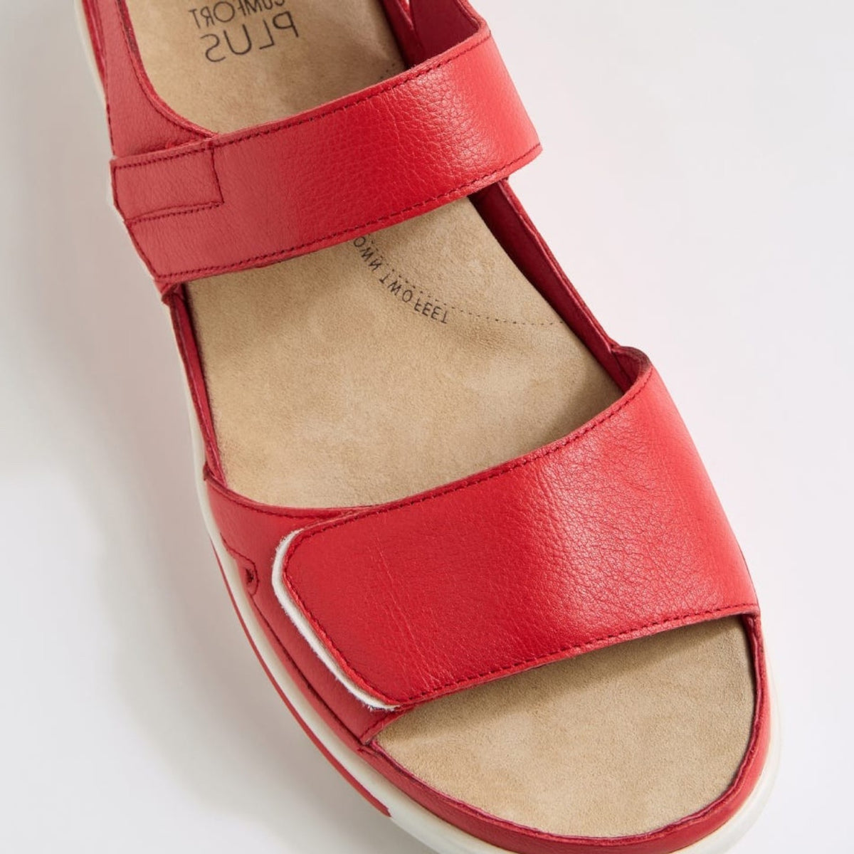 ZIERA GEDD RED WHITE