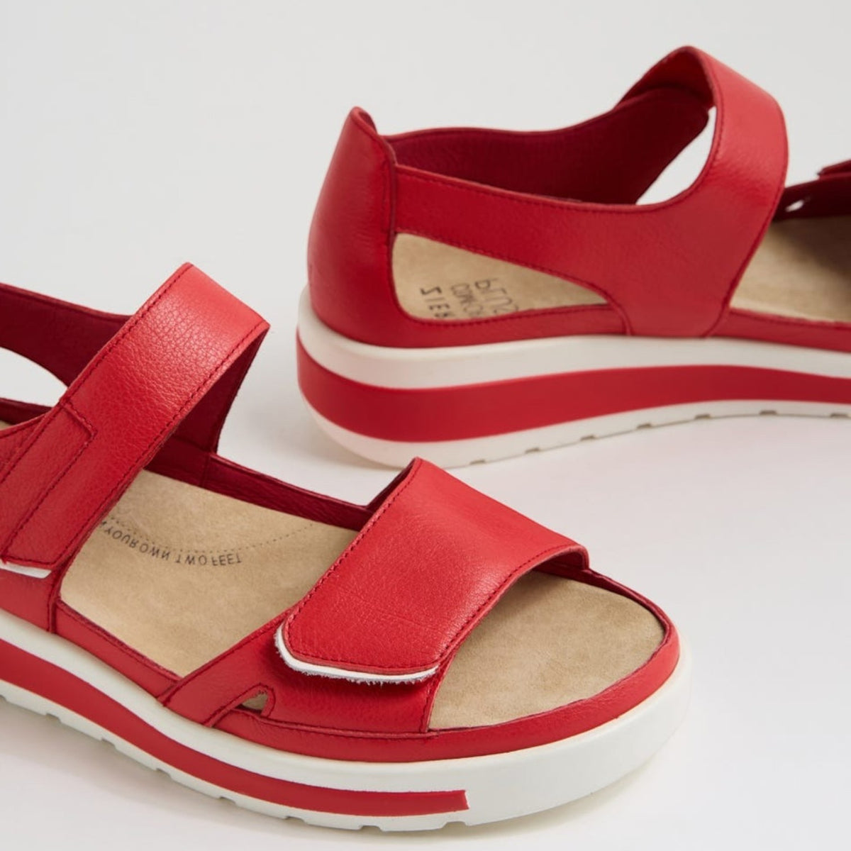 ZIERA GEDD RED WHITE