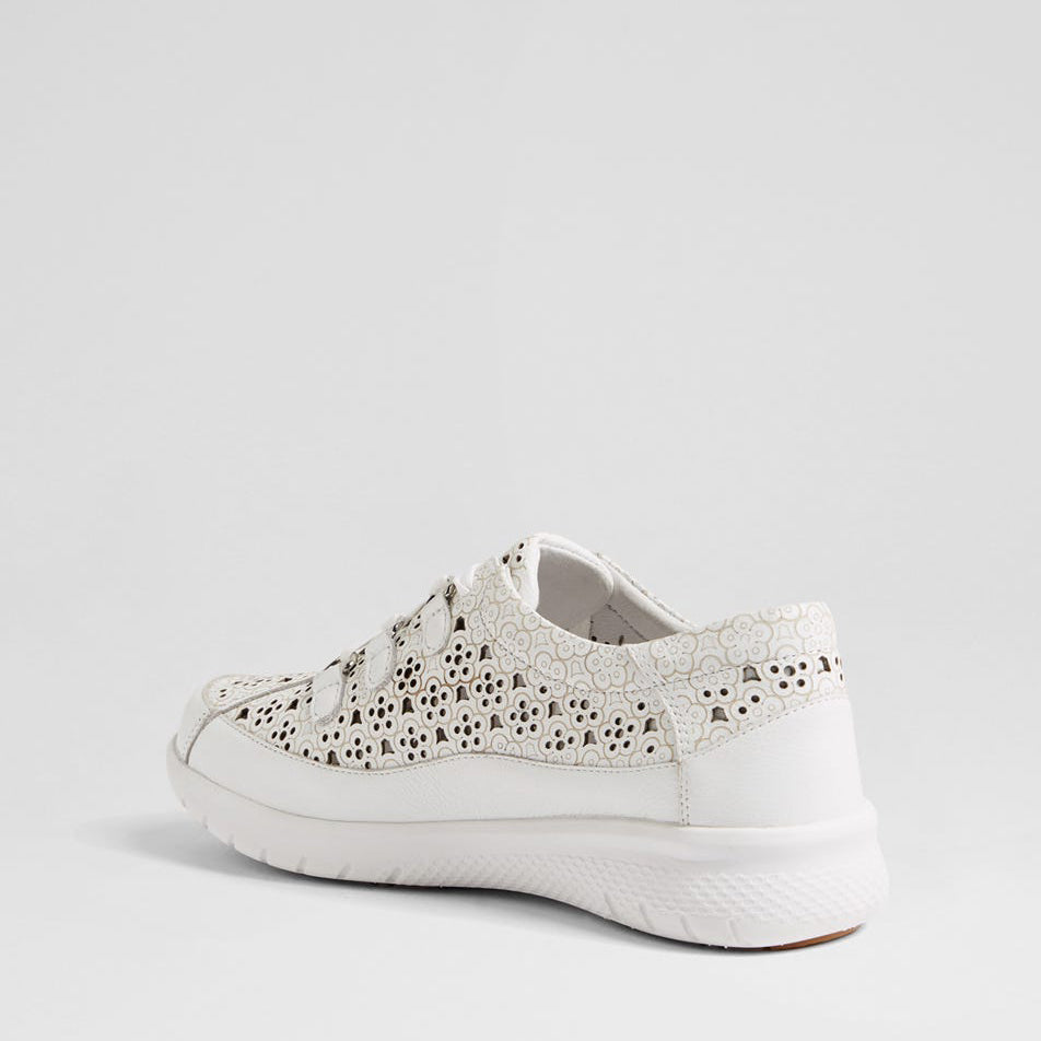 ZIERA SARMI WHITE - Women Sneakers - Collective Shoes 