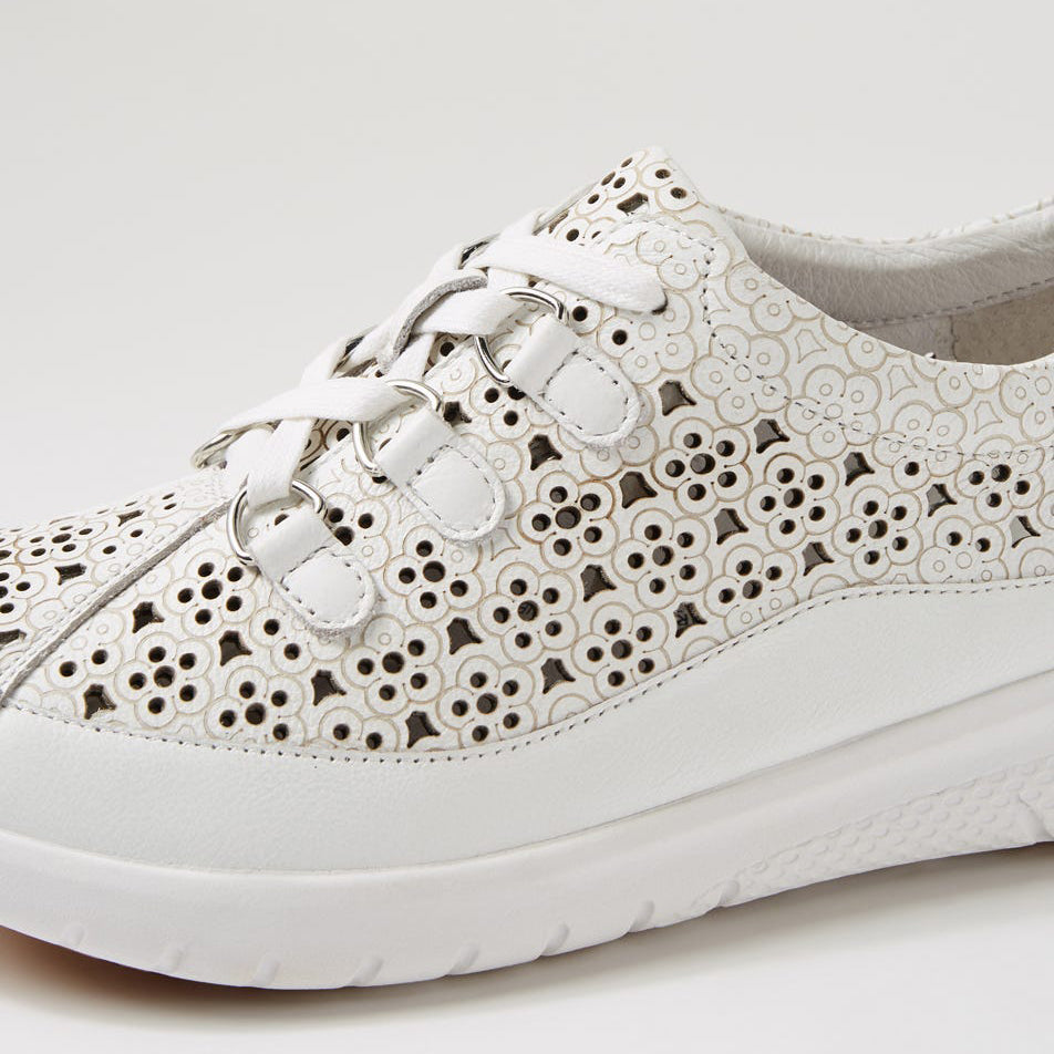 ZIERA SARMI WHITE - Women Sneakers - Collective Shoes 