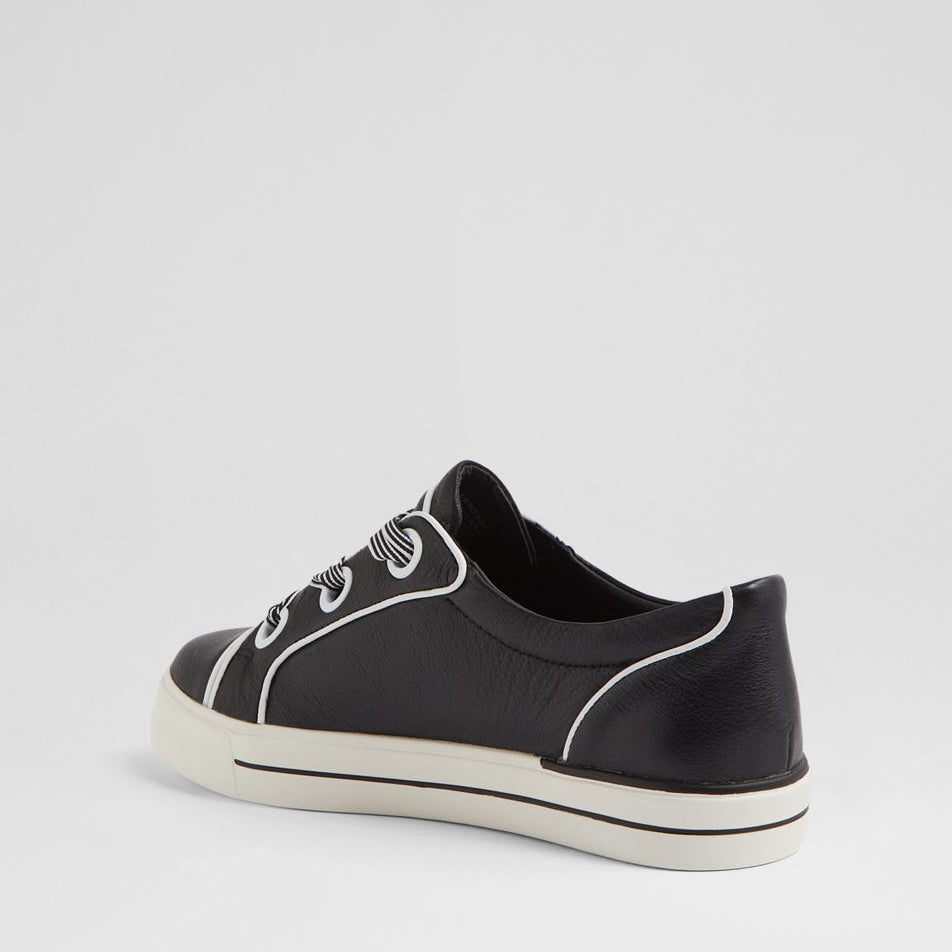 ZIERA ASCOTT BLACK WHITE - Women Sneakers - Collective Shoes 