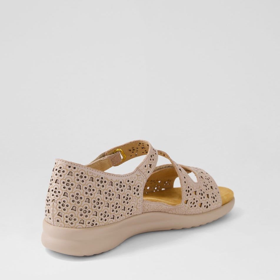 ZIERA BIZZA CAFE - Women Sandals - Collective Shoes 