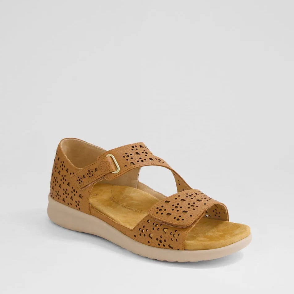 ZIERA BIZZA DARK TAN ALMOND - Women Sandals - Collective Shoes 